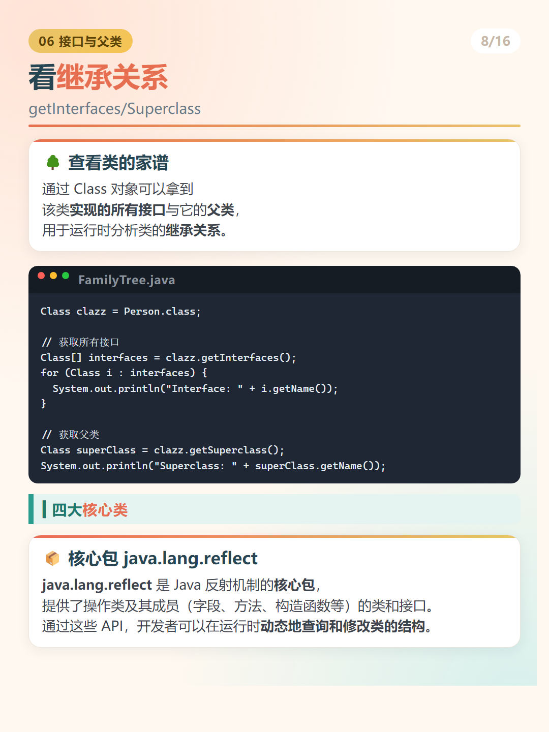 Java 反射：看继承关系