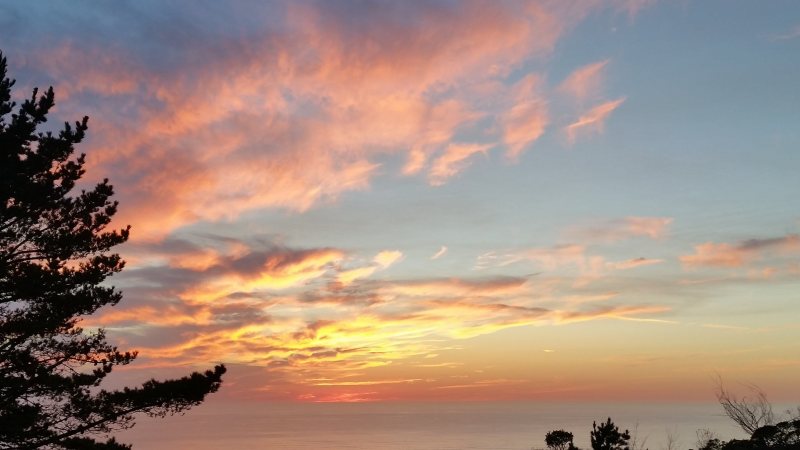 莲花科技:未来城市将从这种花获取灵感(图2) 莲花科技:未来城市将从这种花获取灵感(图2)