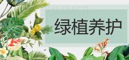 绿植养护