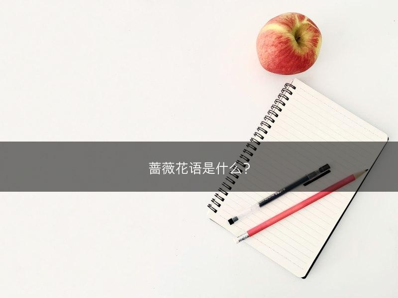 蔷薇花语是什么？(图1)