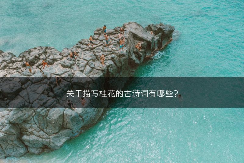 关于描写桂花的古诗词有哪些？(图1)