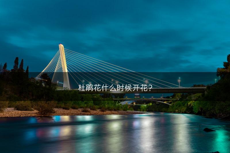 杜鹃花什么时候开花？(图1)