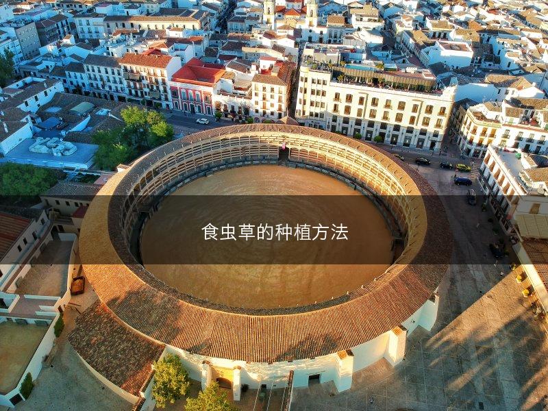 食虫草的种植方法(图1)
