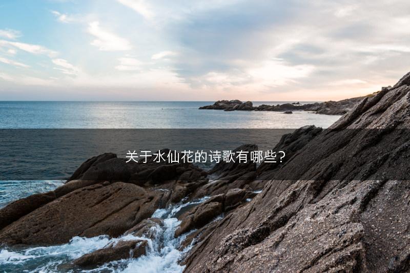 关于水仙花的诗歌有哪些？(图1)