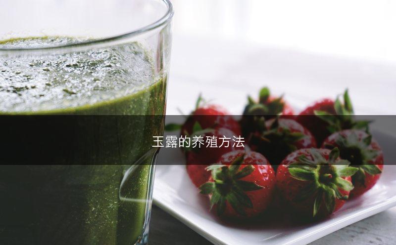 玉露的养殖方法(图1)
