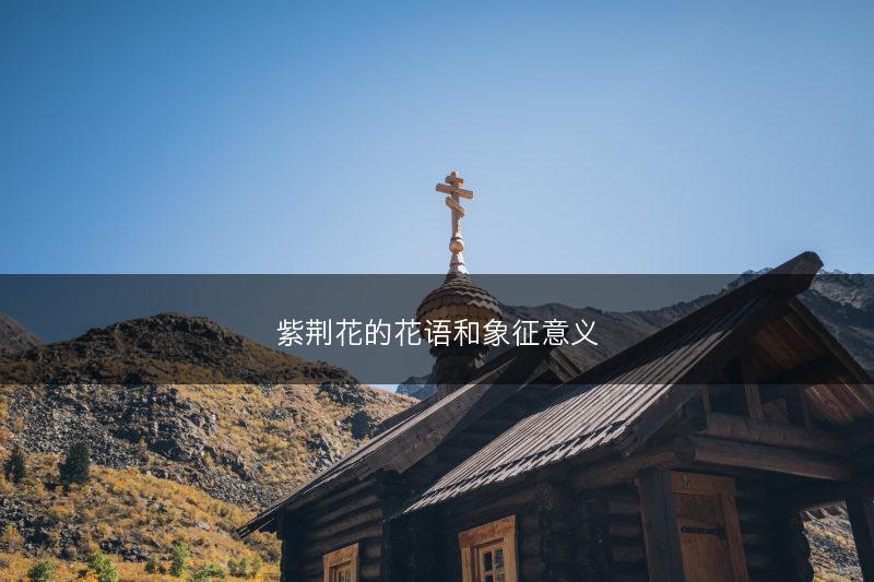 紫荆花的花语和象征意义(图1)