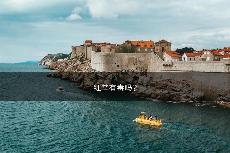 红掌有毒吗？(图1)