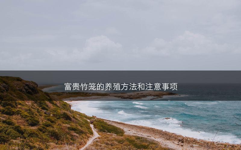 富贵竹笼的养殖方法和注意事项(图1)