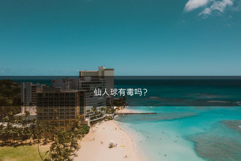仙人球有毒吗？(图1)