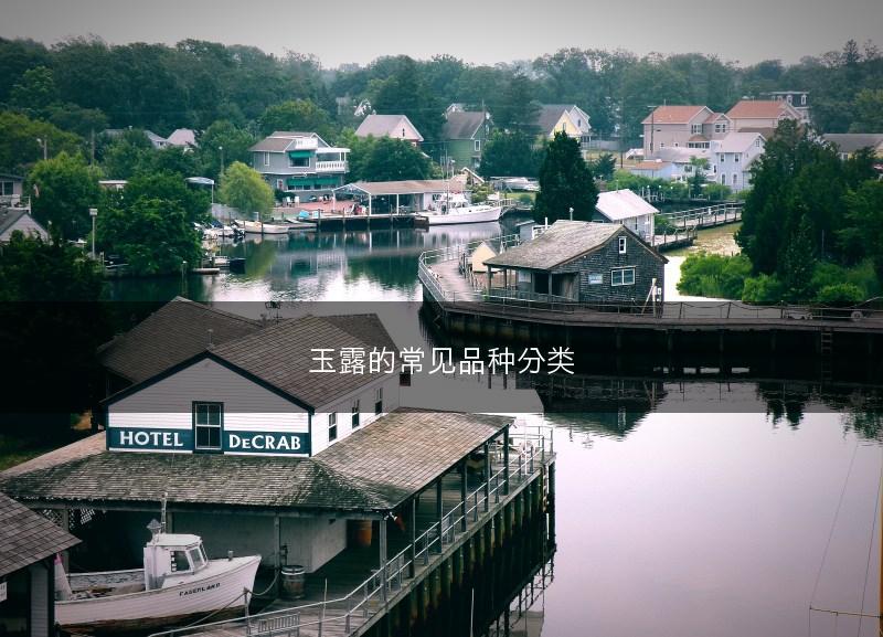 玉露的常见品种分类(图1)