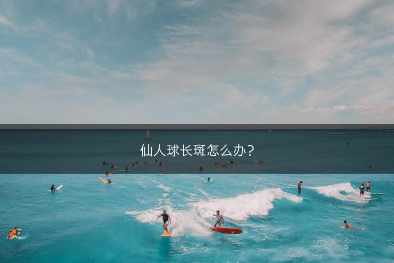 仙人球长斑怎么办？(图1)