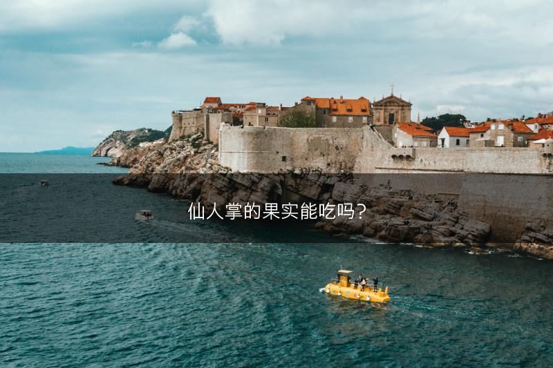 仙人掌的果实能吃吗？(图1)
