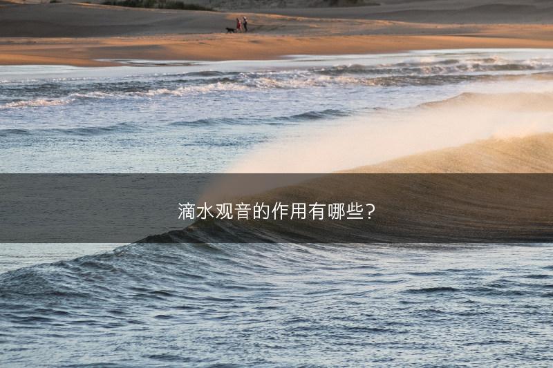 滴水观音的作用有哪些？(图1)
