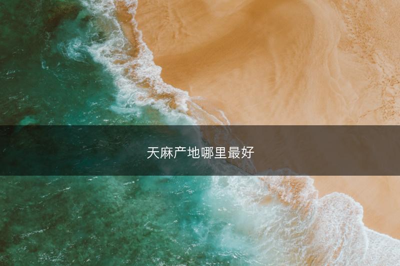 天麻产地哪里最好(图1)