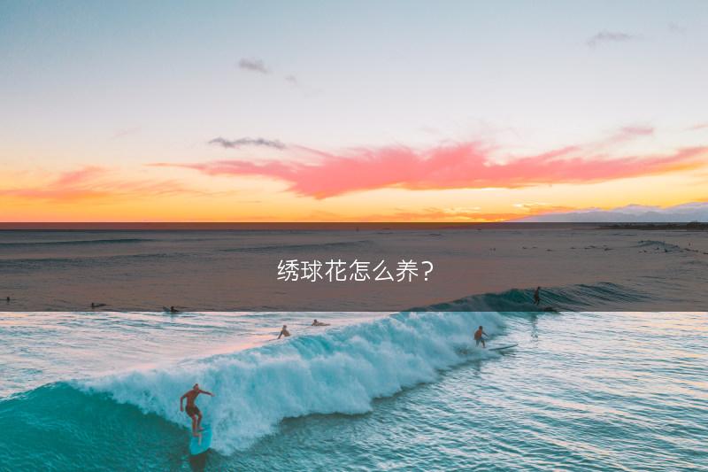 绣球花怎么养？(图1)