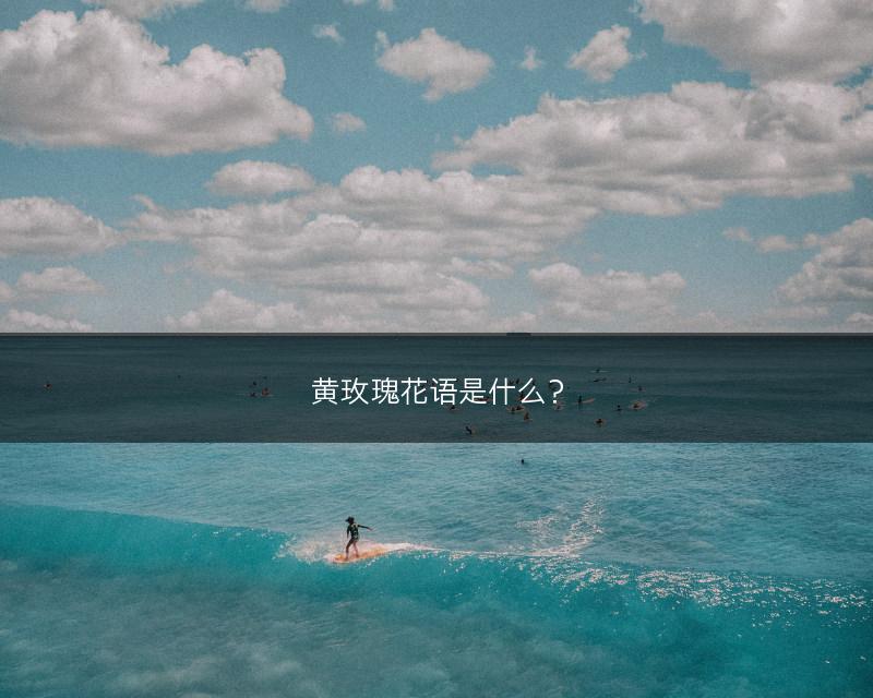 黄玫瑰花语是什么？(图1)