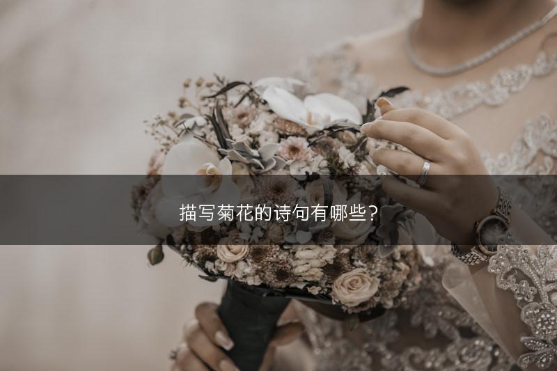 描写菊花的诗句有哪些？(图1)