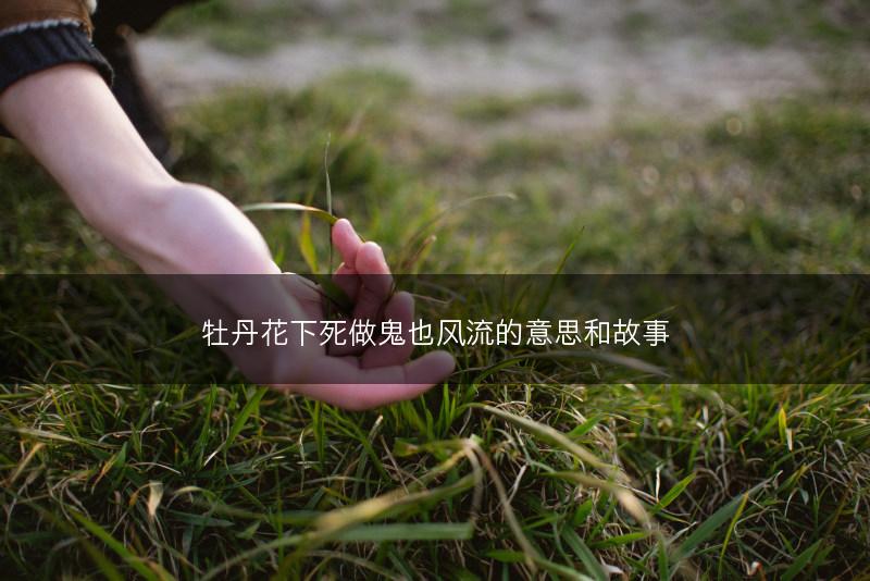 牡丹花下死做鬼也风流的意思和故事(图1)