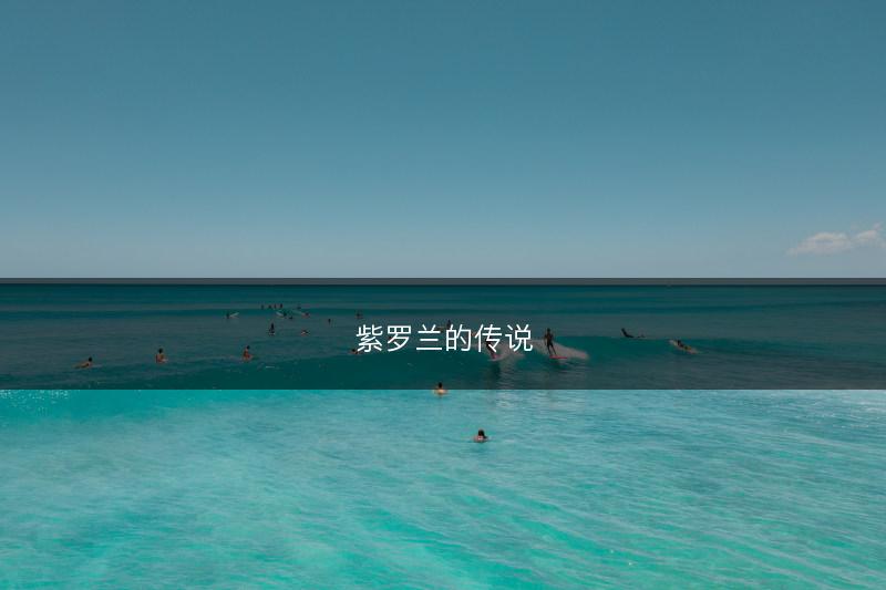 紫罗兰的传说(图1)