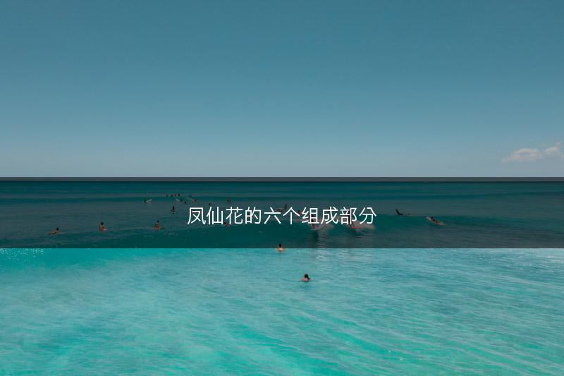 凤仙花的六个组成部分(图1)