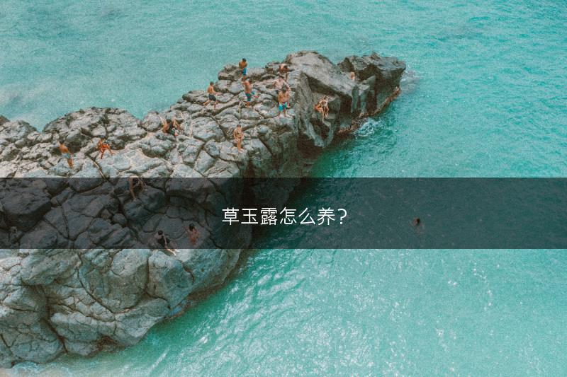 草玉露怎么养？(图1)