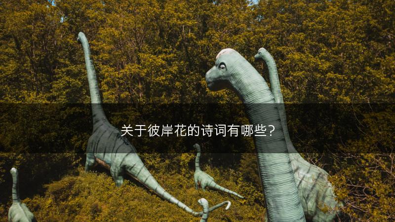 关于彼岸花的诗词有哪些？(图1)
