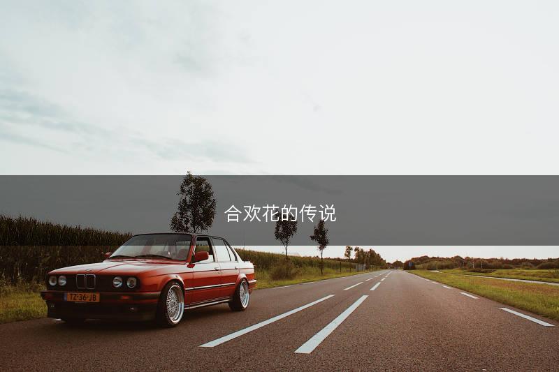 合欢花的传说(图1)