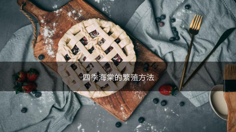 四季海棠的繁殖方法(图1)