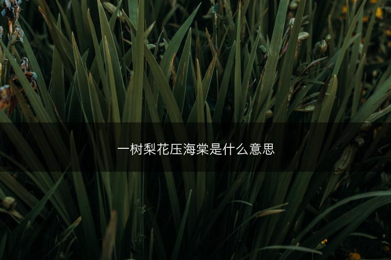 一树梨花压海棠是什么意思(图1)