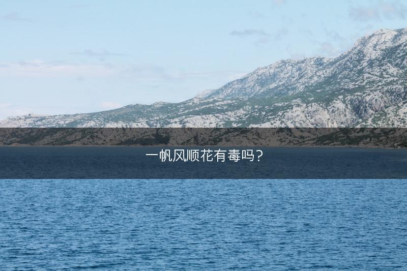 一帆风顺花有毒吗？(图1)