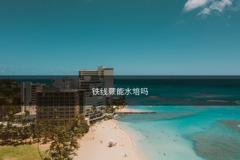 铁线蕨能水培吗(图1)