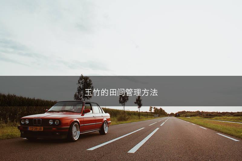 玉竹的田间管理方法(图1)