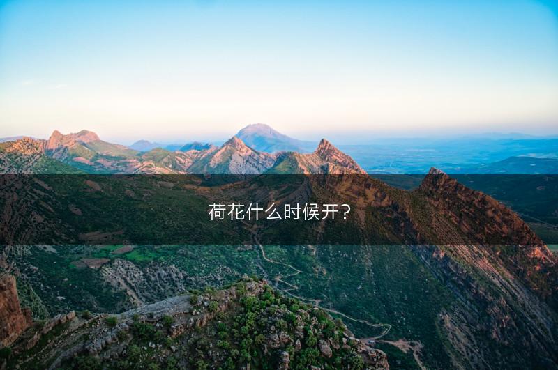荷花什么时候开？(图1)