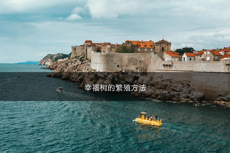 幸福树的繁殖方法(图1)