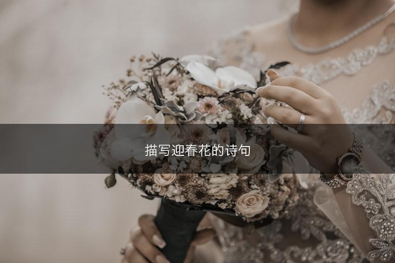 描写迎春花的诗句(图1)