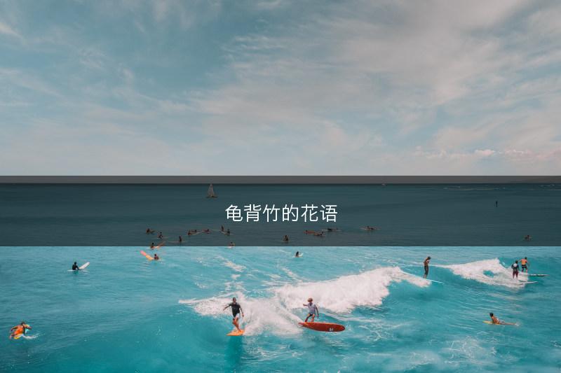 龟背竹的花语(图1)