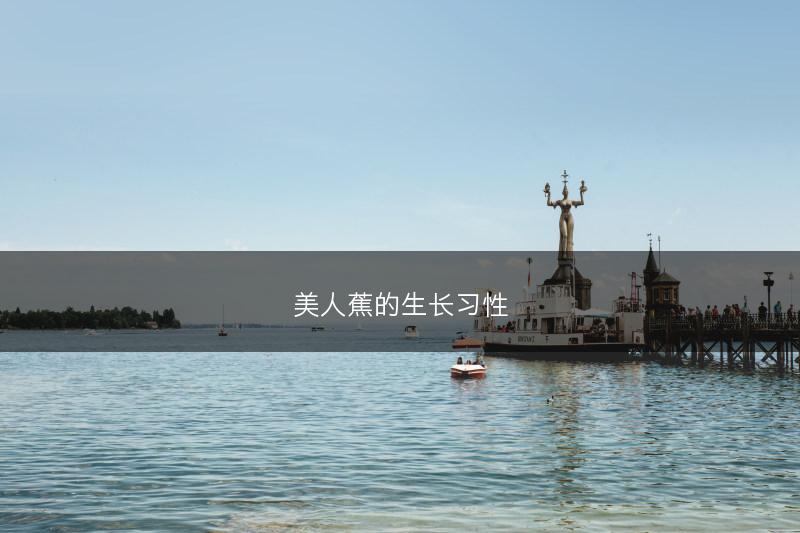 美人蕉的生长习性(图1)
