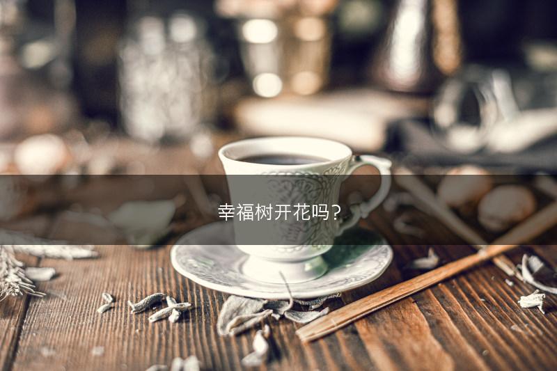 幸福树开花吗？(图1)