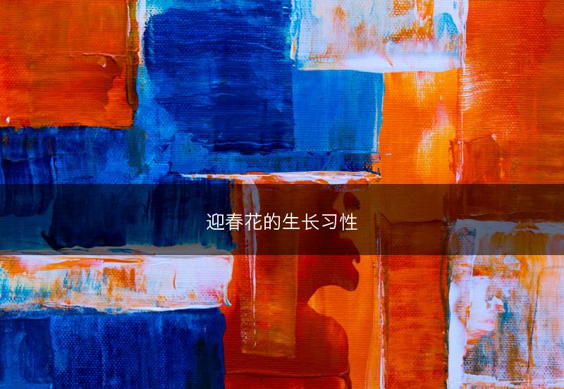 迎春花的生长习性(图1)