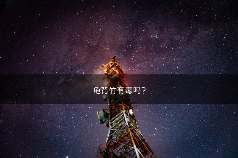 龟背竹有毒吗？(图1)
