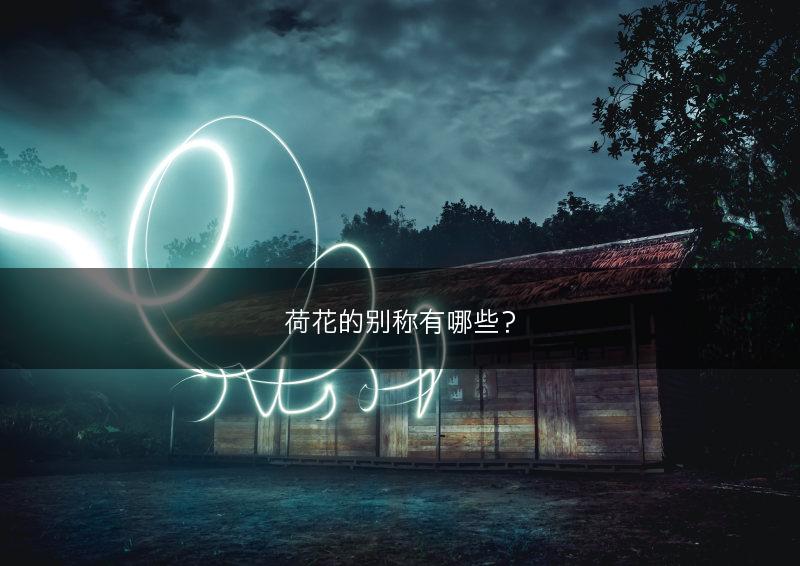荷花的别称有哪些？(图1)
