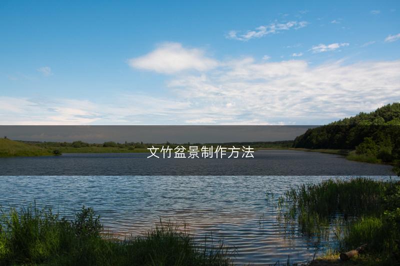 文竹盆景制作方法(图1)