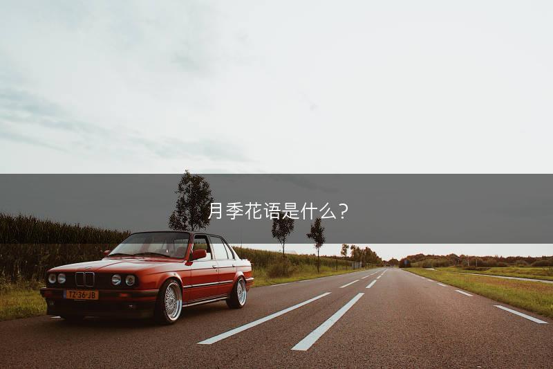 灵芝盆景怎么种植，灵芝盆景管理技术(图1)