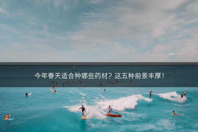 今年春天适合种哪些药材？这五种前景丰厚！(图1)
