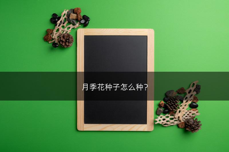 文竹怎么施肥？(图1)