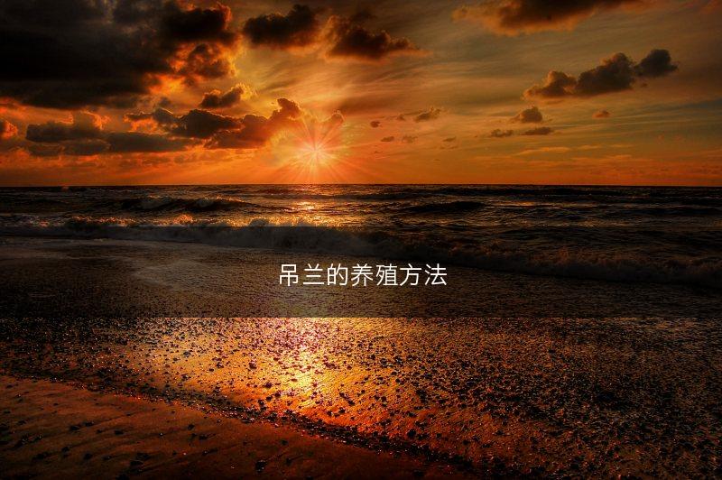 三七病虫害防治技术(图1)