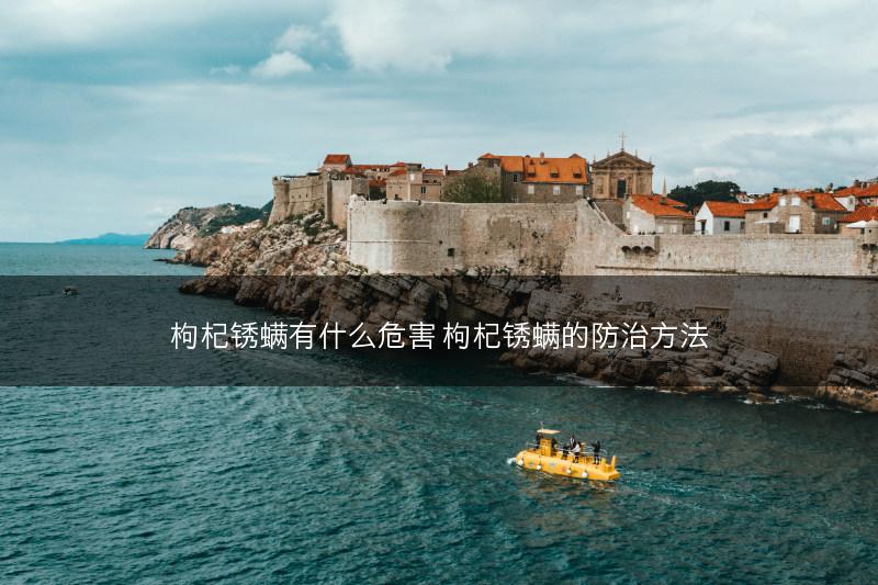 枸杞锈螨有什么危害 枸杞锈螨的防治方法(图1)