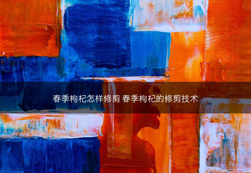 春季枸杞怎样修剪 春季枸杞的修剪技术(图1) 春季枸杞怎样修剪 春季枸杞的修剪技术(图1)