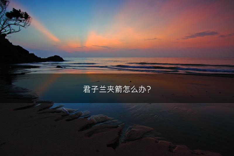 君子兰夹箭怎么办？(图1)