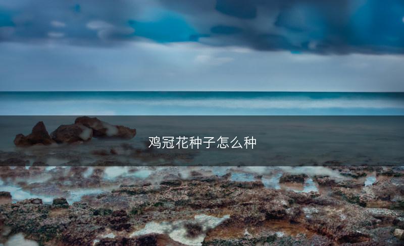鸡冠花种子怎么种(图1)
